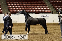 10buck_4247 proof