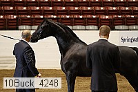 10buck_4248 proof