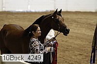 10buck_4249 proof