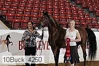 10buck_4250 proof