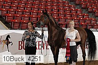 10buck_4251 proof