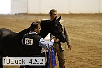 10buck_4252 proof