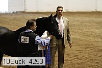 10buck_4253 proof
