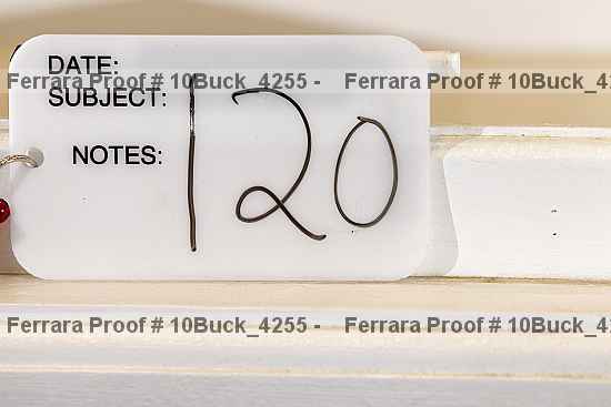 Proof 10buck_4255