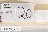 10buck_4255 proof