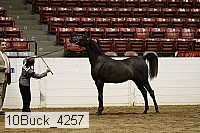 10buck_4257 proof