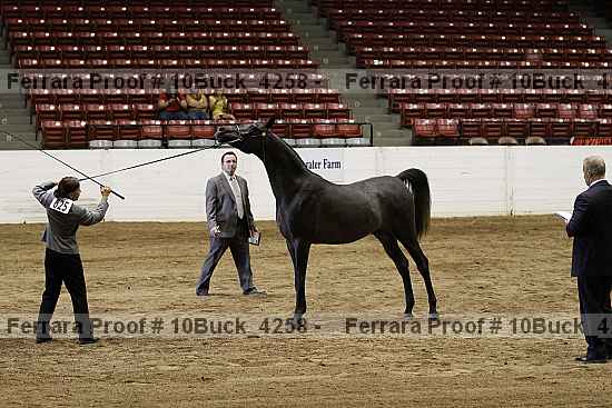 Proof 10buck_4258