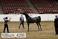 10buck_4258 proof