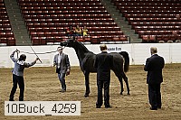 10buck_4259 proof