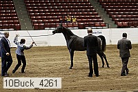 10buck_4261 proof
