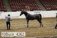 10buck_4262 proof