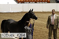 10buck_4264 proof