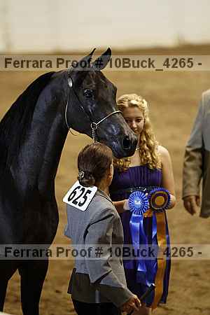 Proof 10buck_4265