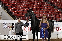 10buck_4266 proof