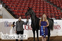 10buck_4267 proof