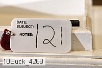 10buck_4268 proof