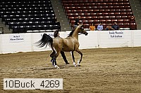 10buck_4269 proof
