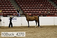 10buck_4270 proof