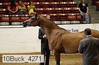 10buck_4271 proof