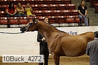 10buck_4272 proof
