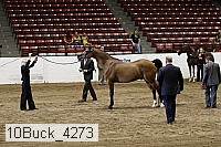 10buck_4273 proof