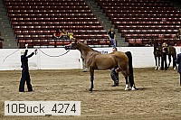10buck_4274 proof