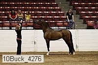10buck_4276 proof