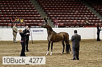 10buck_4277 proof