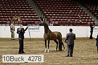 10buck_4278 proof