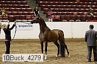 10buck_4279 proof