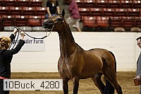 10buck_4280 proof