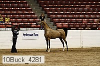 10buck_4281 proof