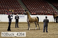 10buck_4284 proof