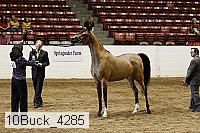 10buck_4285 proof