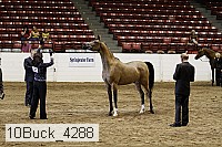 10buck_4288 proof