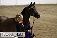 10buck_4289 proof