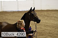 10buck_4290 proof