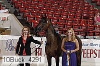 10buck_4291 proof