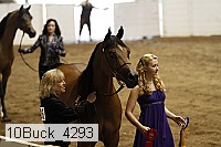 10buck_4293 proof