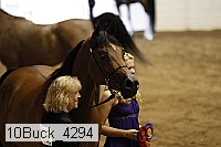 10buck_4294 proof