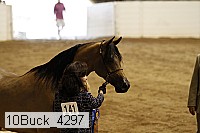 10buck_4297 proof