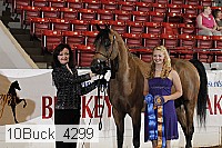10buck_4299 proof