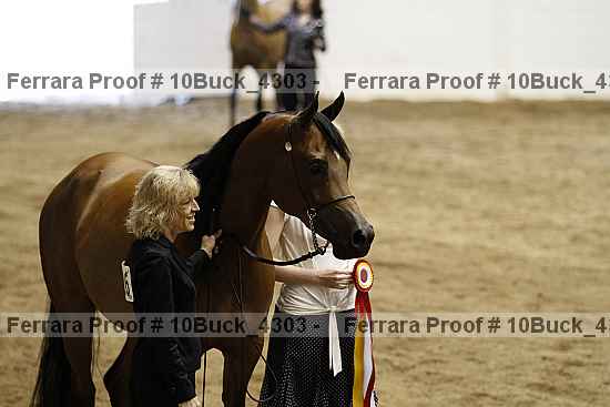 Proof 10buck_4303