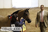 10buck_4306 proof