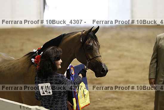 Proof 10buck_4307