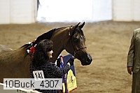 10buck_4307 proof