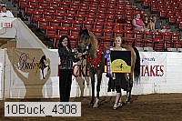 10buck_4308 proof