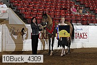 10buck_4309 proof