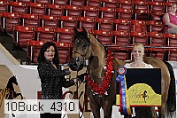 10buck_4310 proof