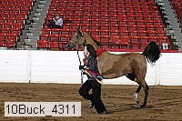 10buck_4311 proof